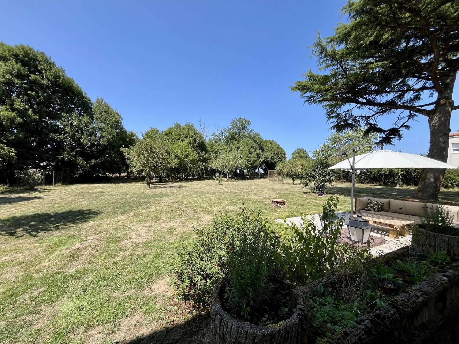  for sale house Le Vigeant Vienne 3