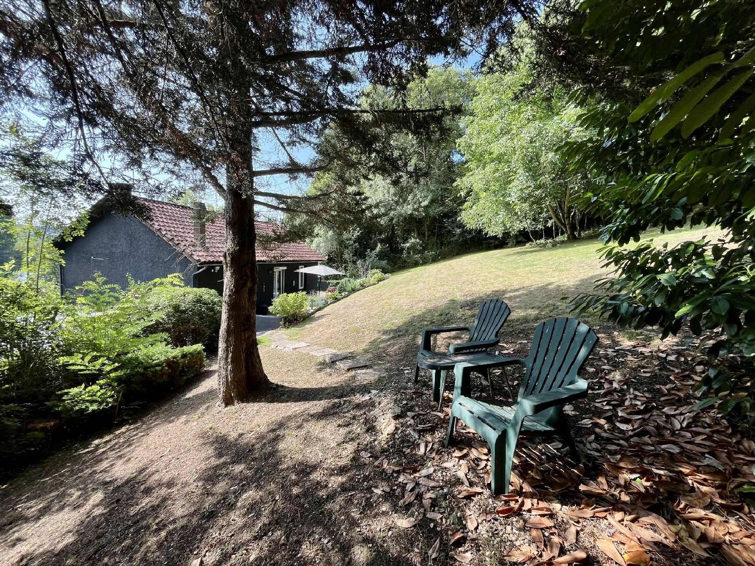  for sale house Le Vigeant Vienne 5