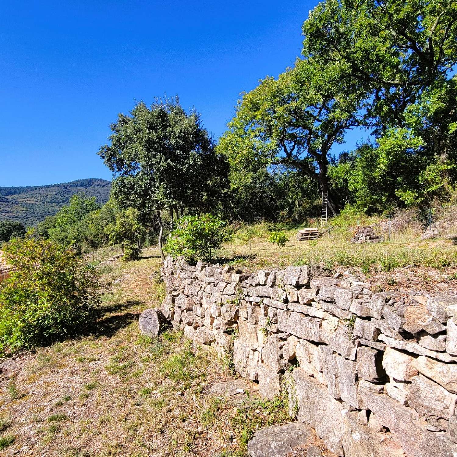  te koop huis Les Aires Hérault 5