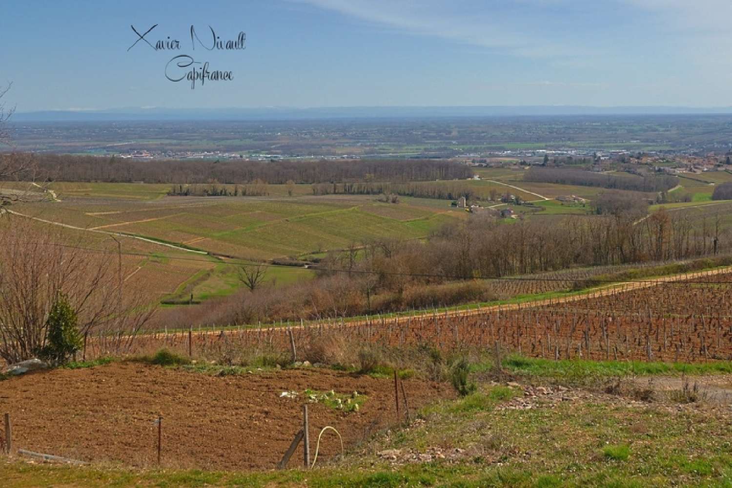  te koop huis Leynes Saône-et-Loire 6