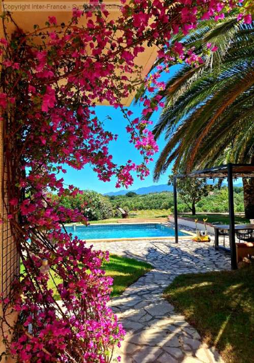  à vendre maison Saint-Jean-Lasseille Pyrénées-Orientales 7