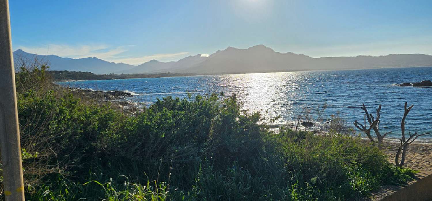  kaufen Haus Lumio Haute-Corse 3