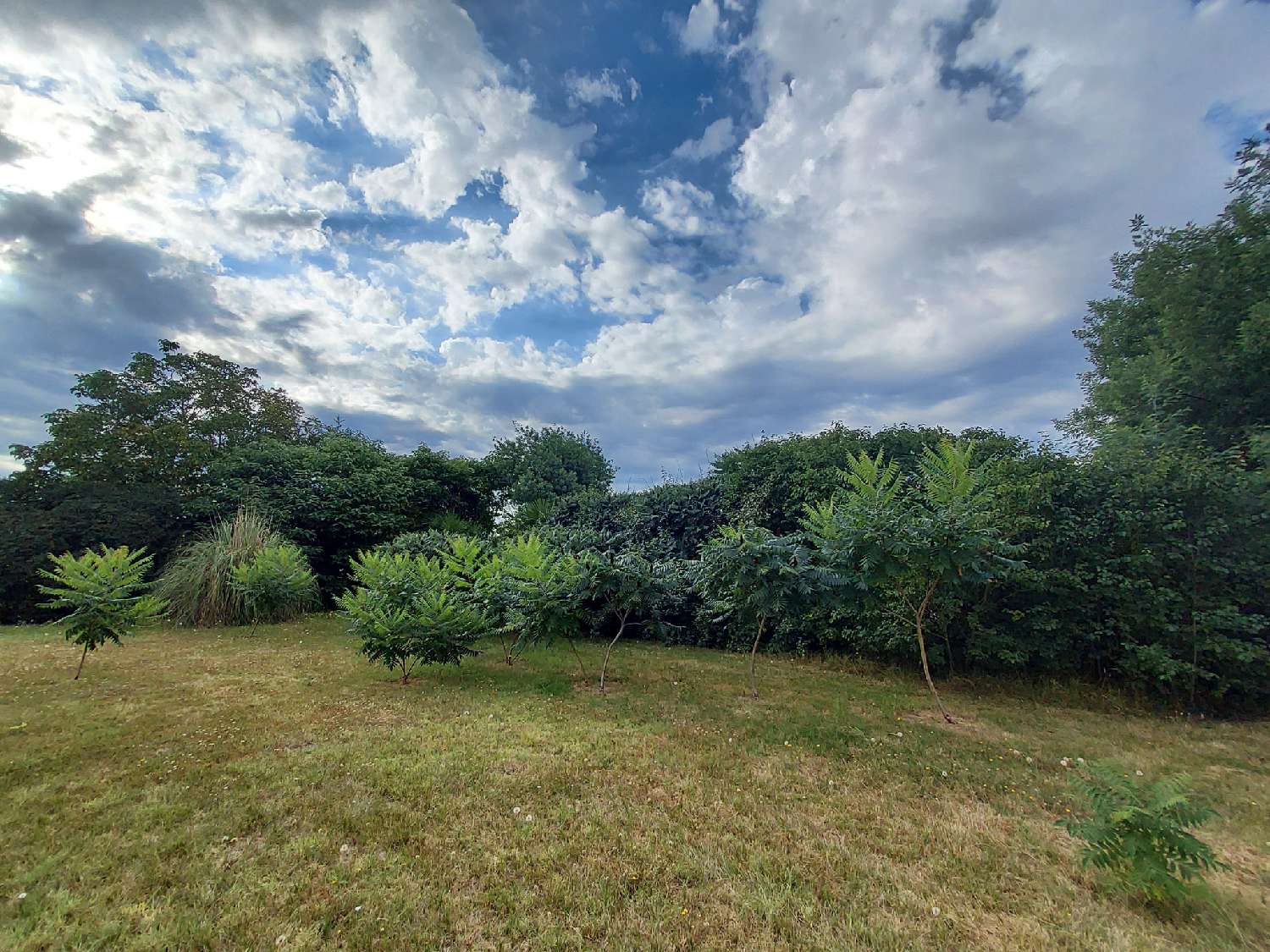  à vendre maison Marmande Lot-et-Garonne 7