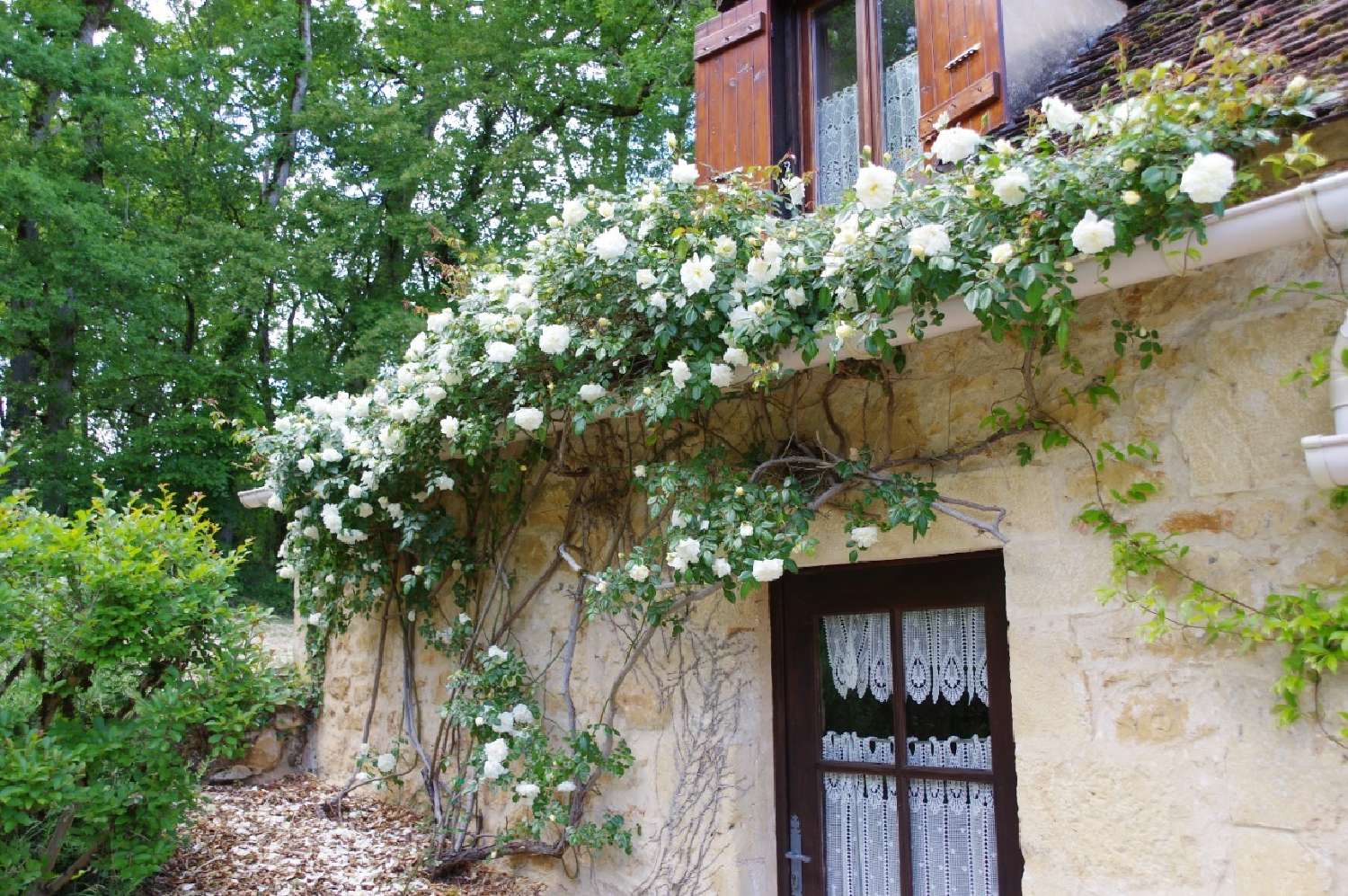  for sale house Mauzac-et-Grand-Castang Dordogne 6