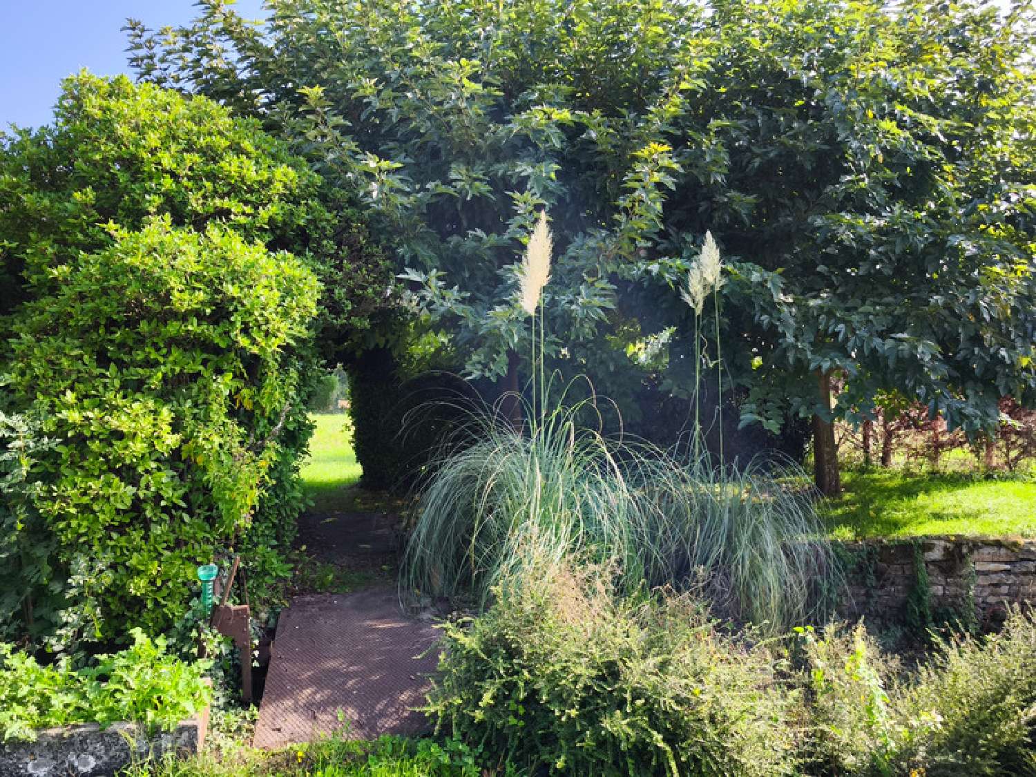  à vendre maison Mauzé-sur-le-Mignon Deux-Sèvres 6