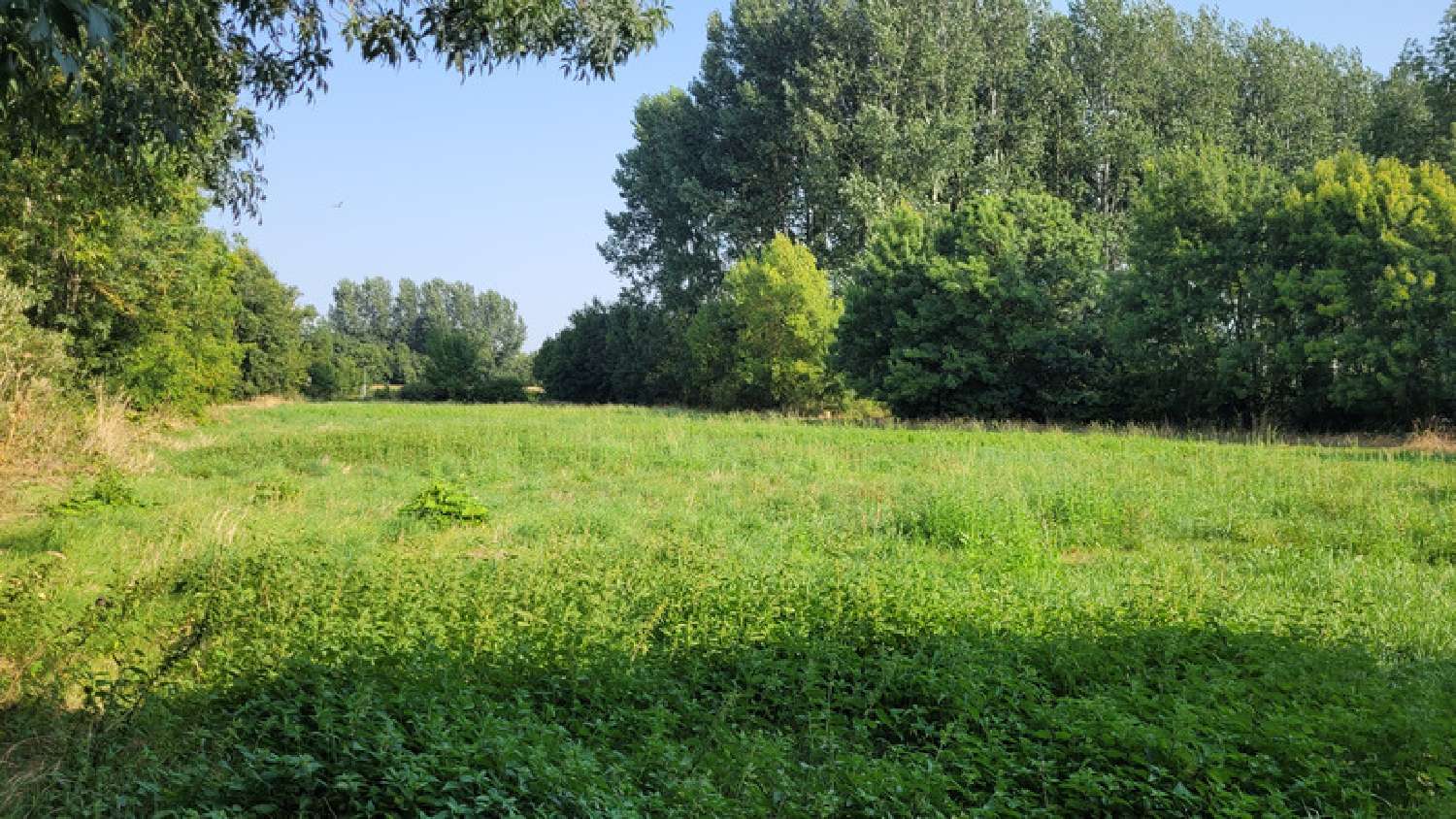  à vendre maison Mauzé-sur-le-Mignon Deux-Sèvres 8