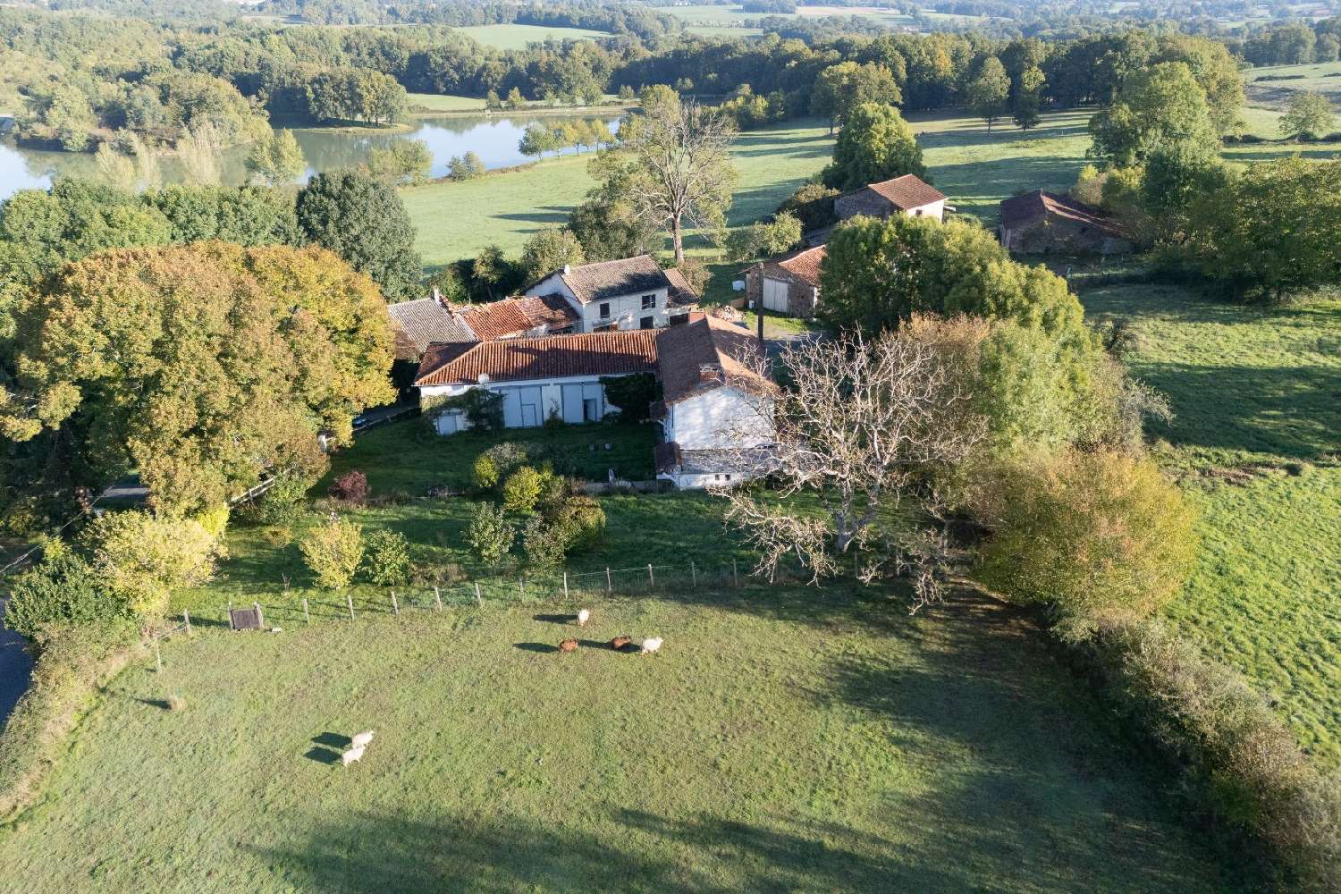  for sale house Mazières Charente 2