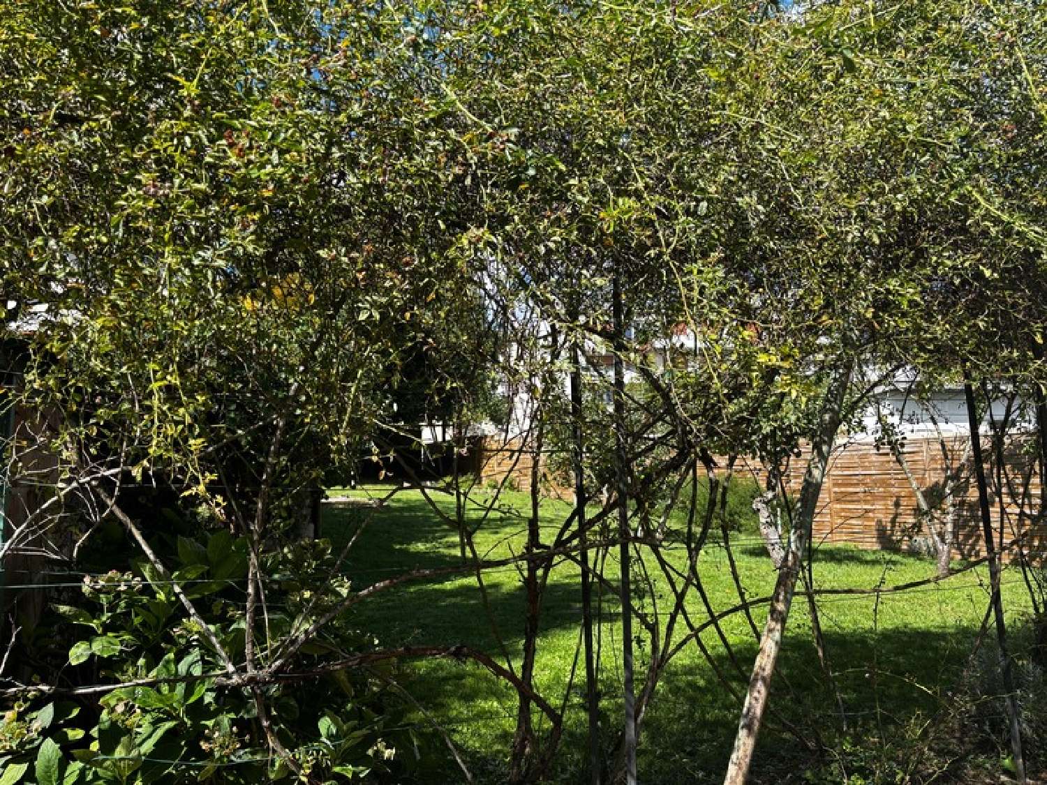  à vendre maison Meudon Hauts-de-Seine 4