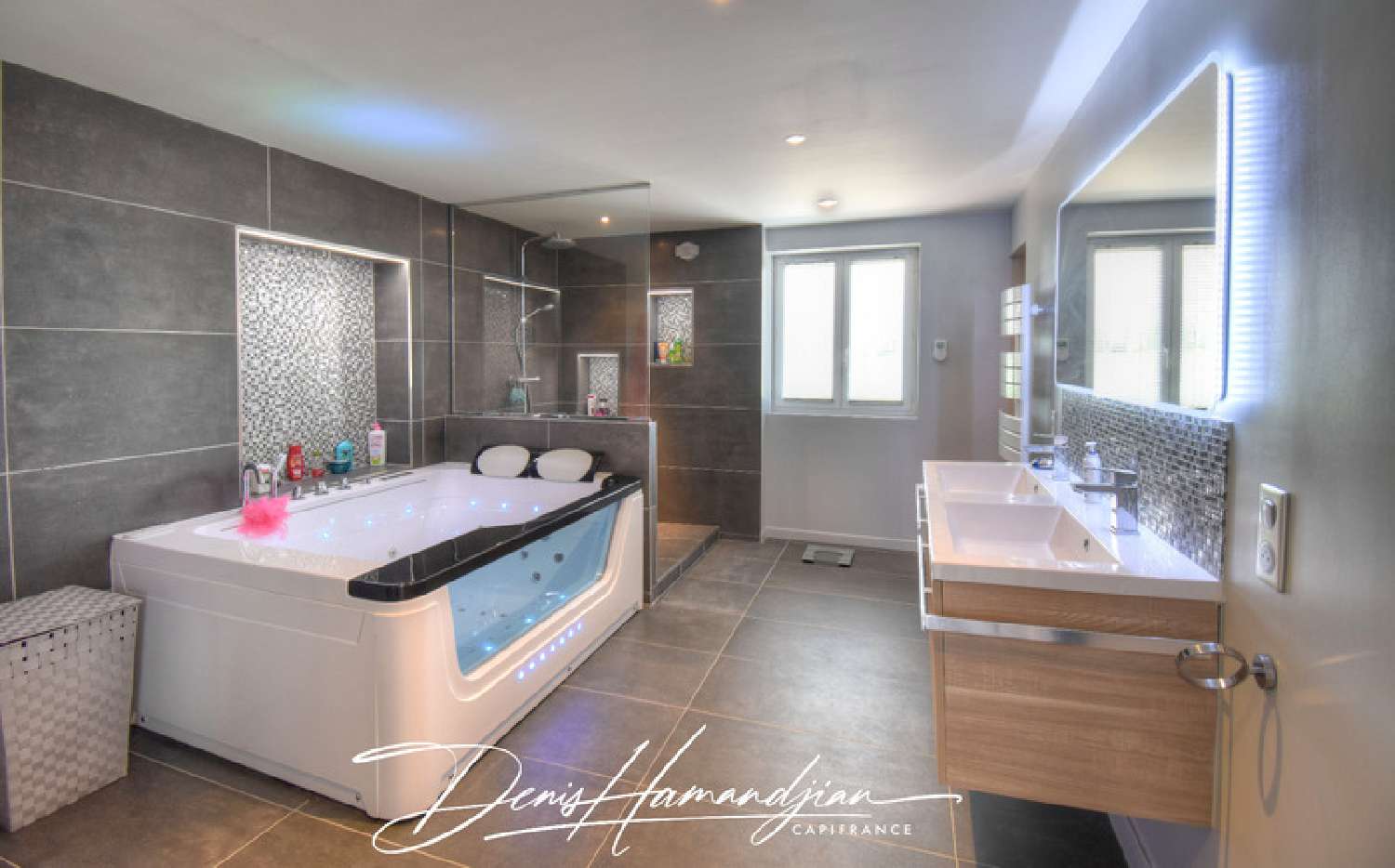  for sale house Mionnay Ain 5