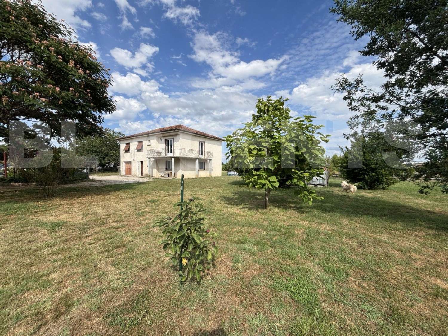 à vendre maison Montauban Tarn-et-Garonne 1