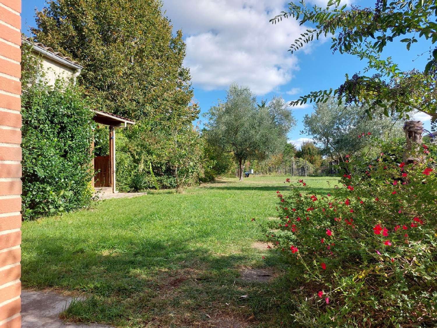  kaufen Haus Montauban Tarn-et-Garonne 5