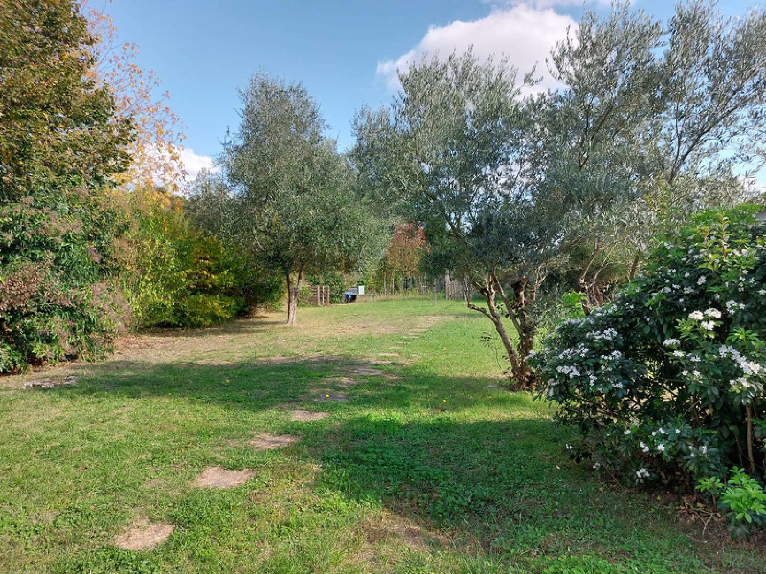  kaufen Haus Montauban Tarn-et-Garonne 8