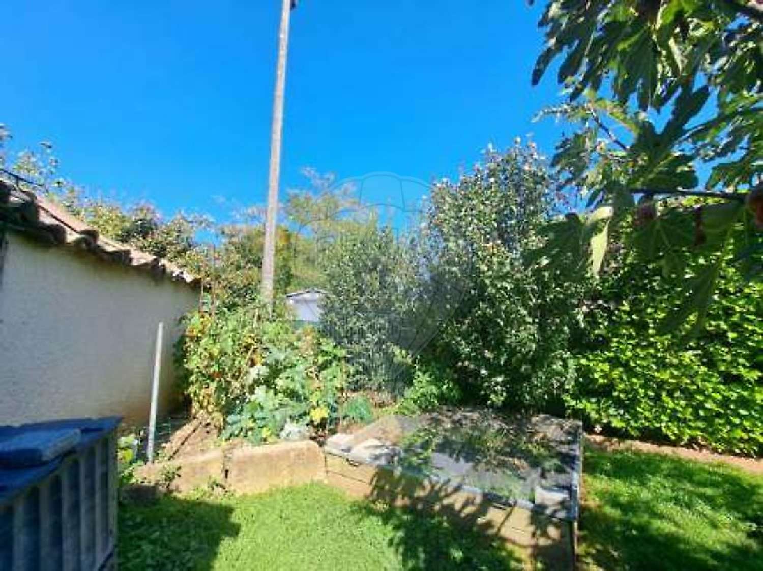 te koop huis Montceaux Ain 5