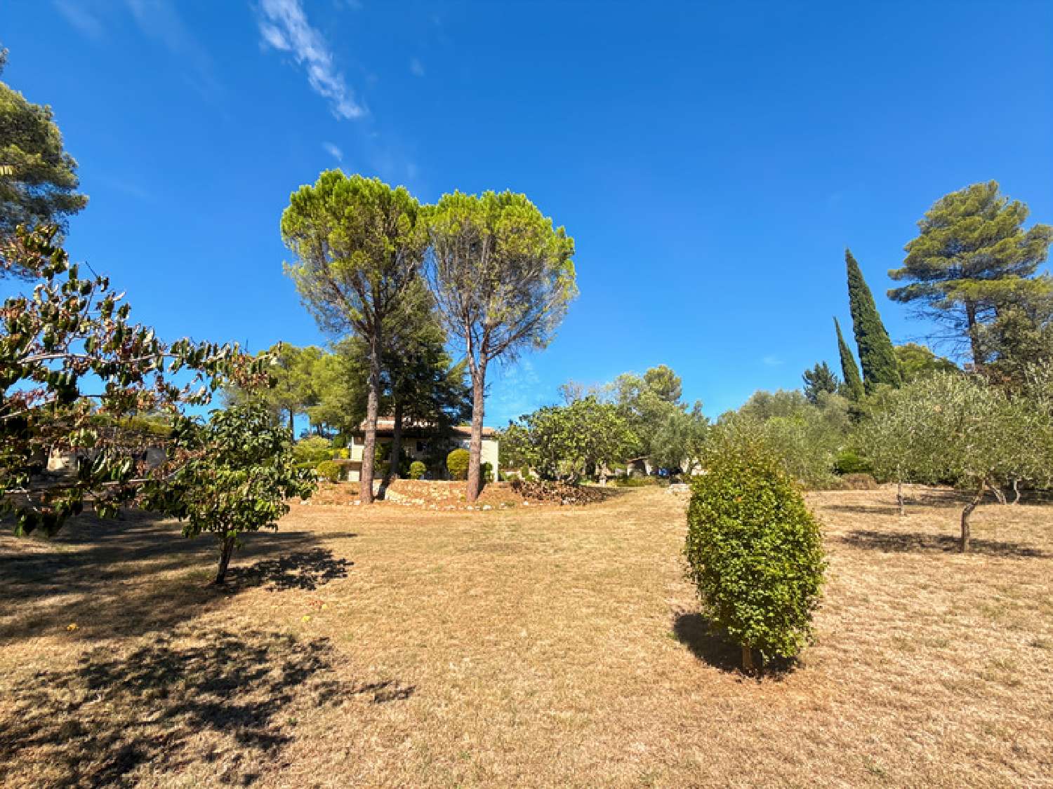  à vendre maison Montferrier-sur-Lez Hérault 6