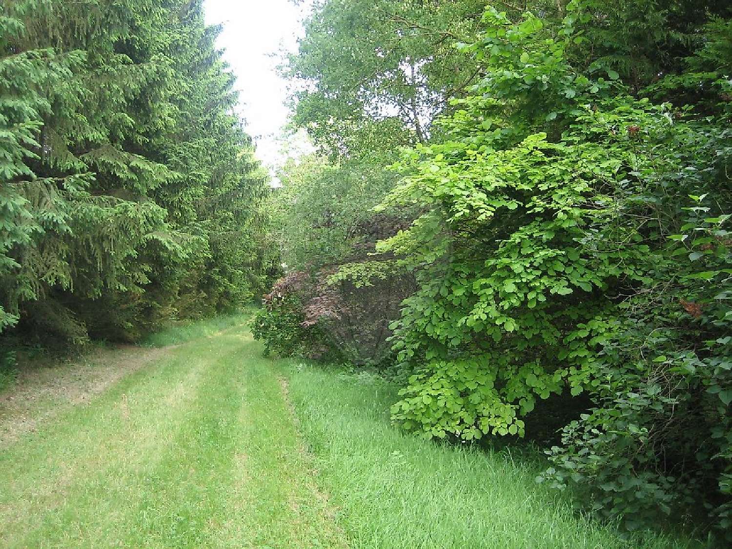  kaufen Haus Celles-lès-Condé Aisne 3