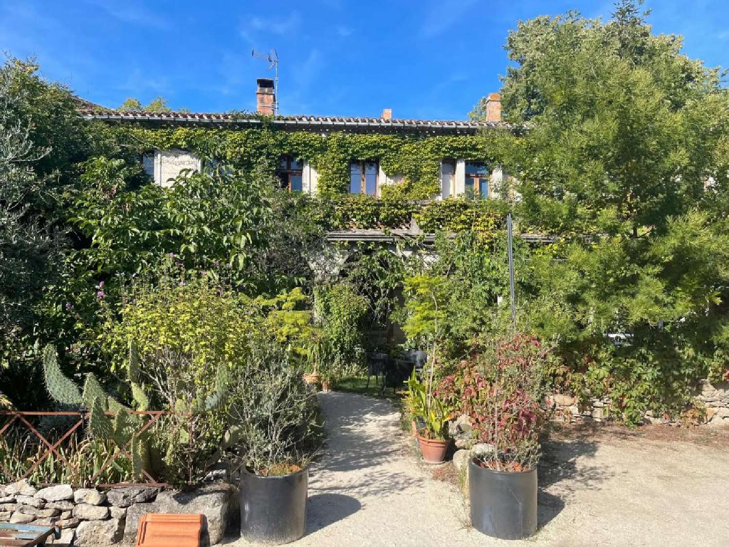  for sale house Montolieu Aude 1