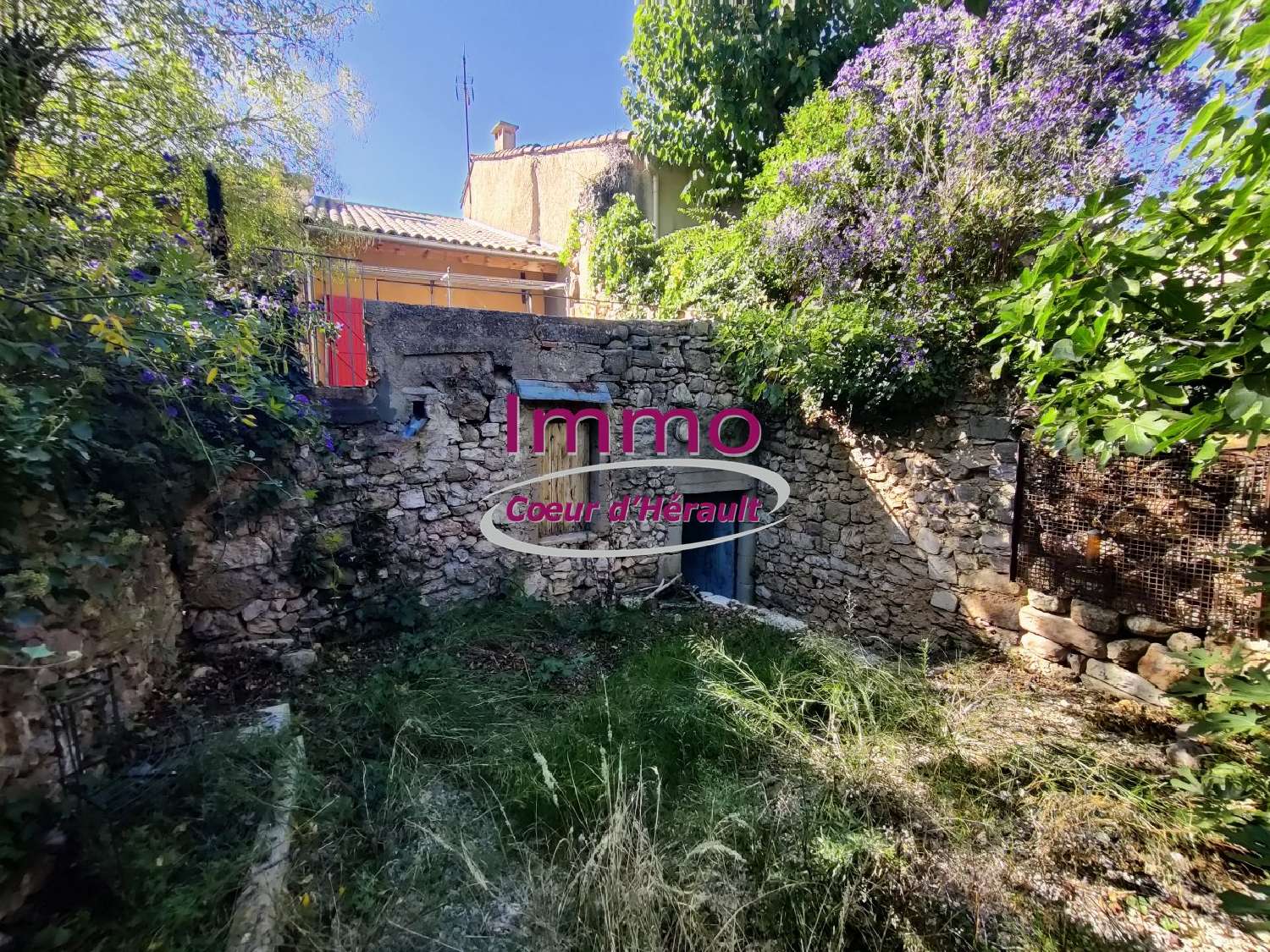 for sale house Montpeyroux Hérault 4