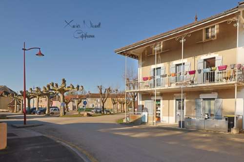 Montrevel-en-Bresse Ain house foto 7149368