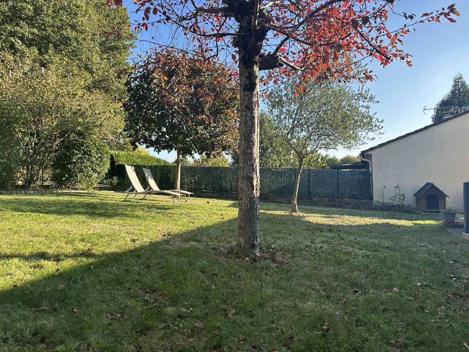 te koop huis Mortagne-sur-Sèvre Vendée 3
