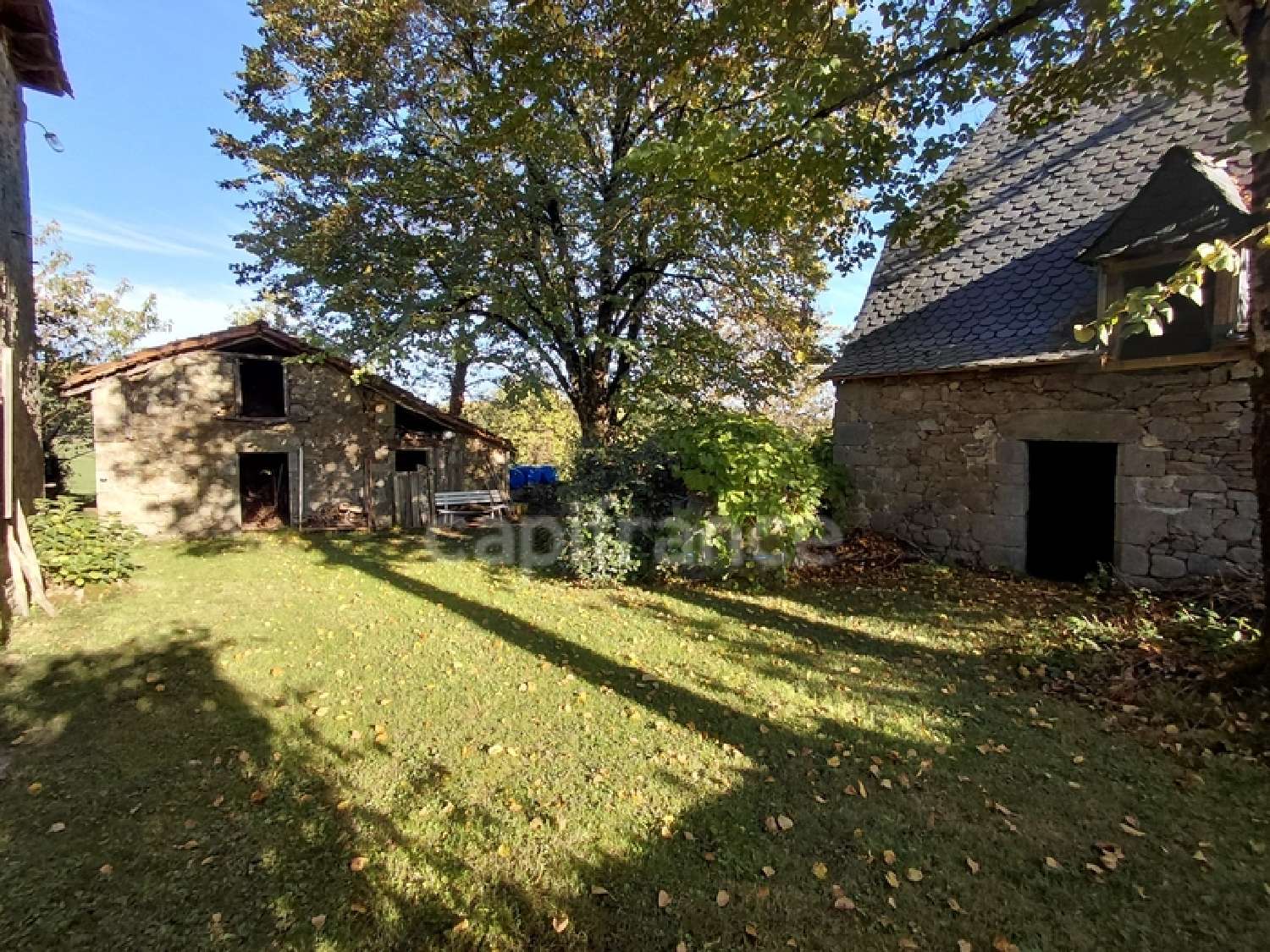  for sale house Mourjou Cantal 3
