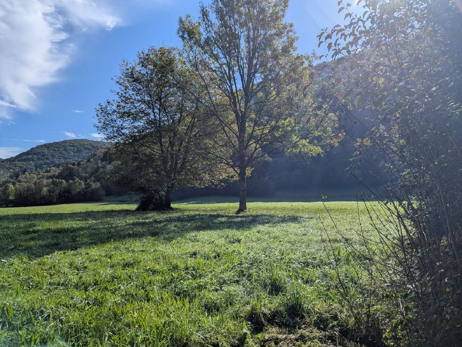  te koop huis Nescus Ariège 4