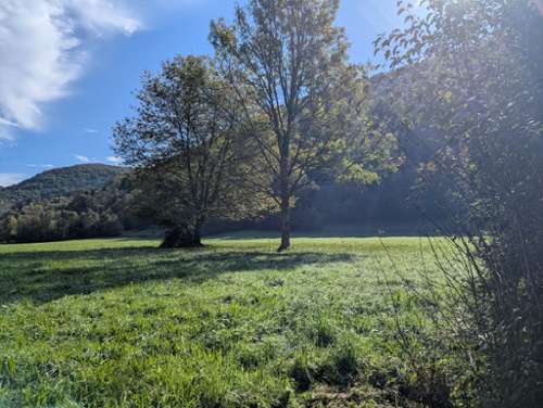  for sale house Nescus Ariège 4
