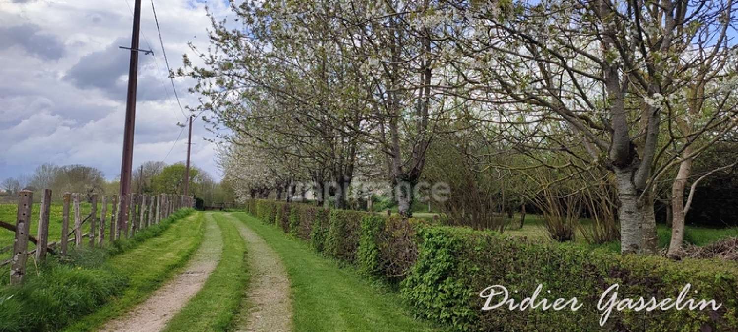  for sale house Nocé Orne 2