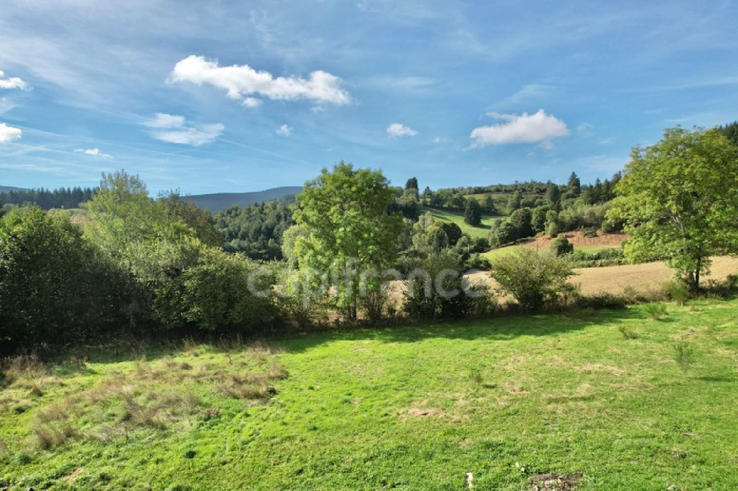  en venta casa Noirétable Loire 5