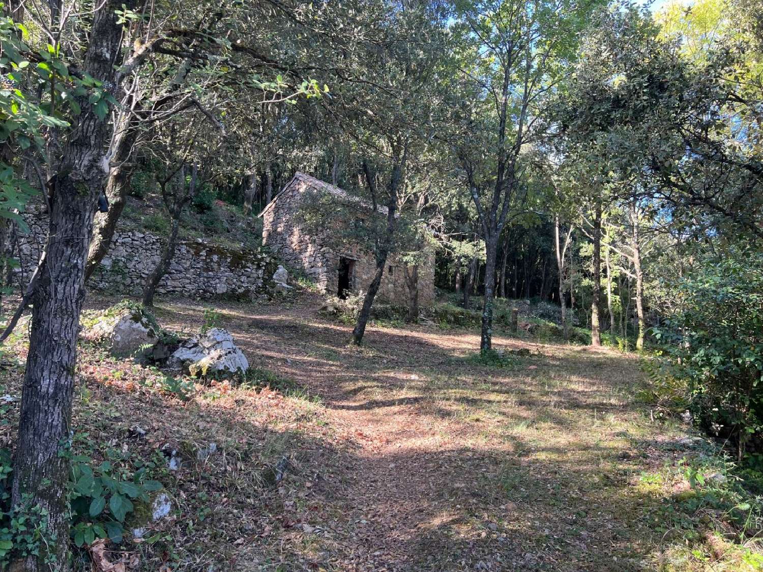  à vendre maison Olargues Hérault 4
