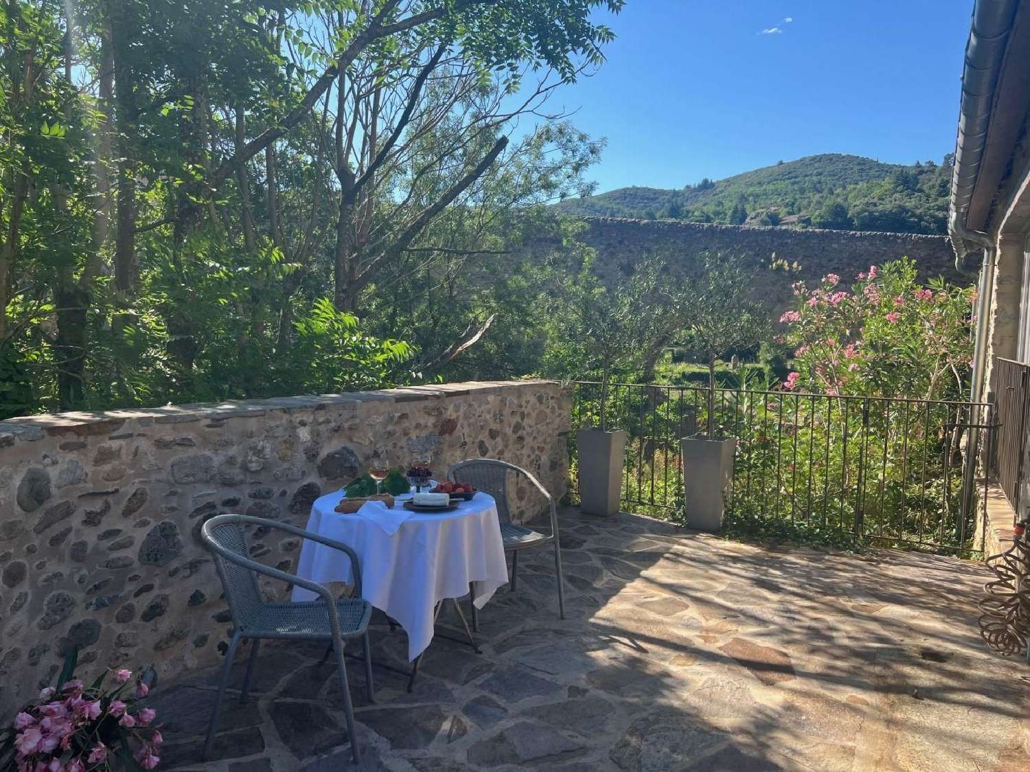 kaufen Haus Olargues Hérault 1