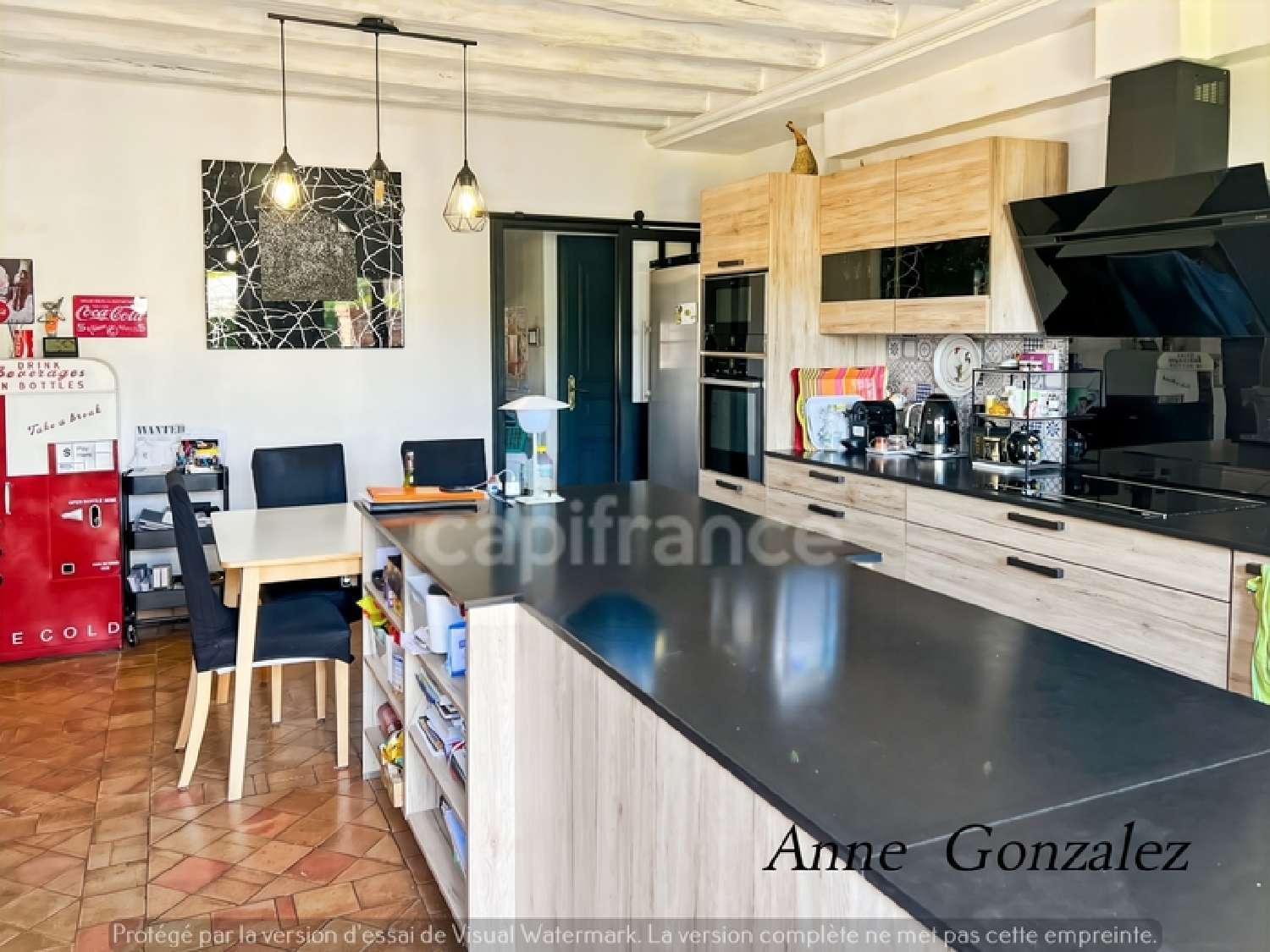  te koop huis Olivet Loiret 3