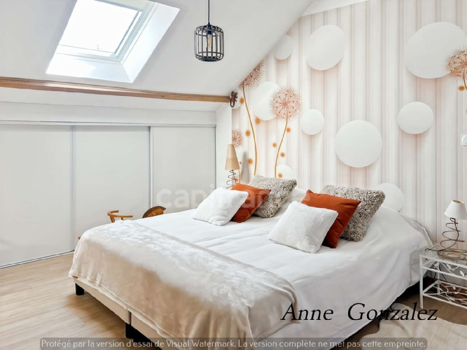  te koop huis Olivet Loiret 8