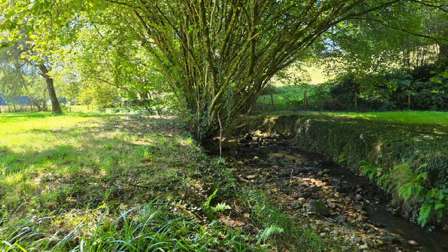  te koop huis Oradour-sur-Glane Haute-Vienne 7