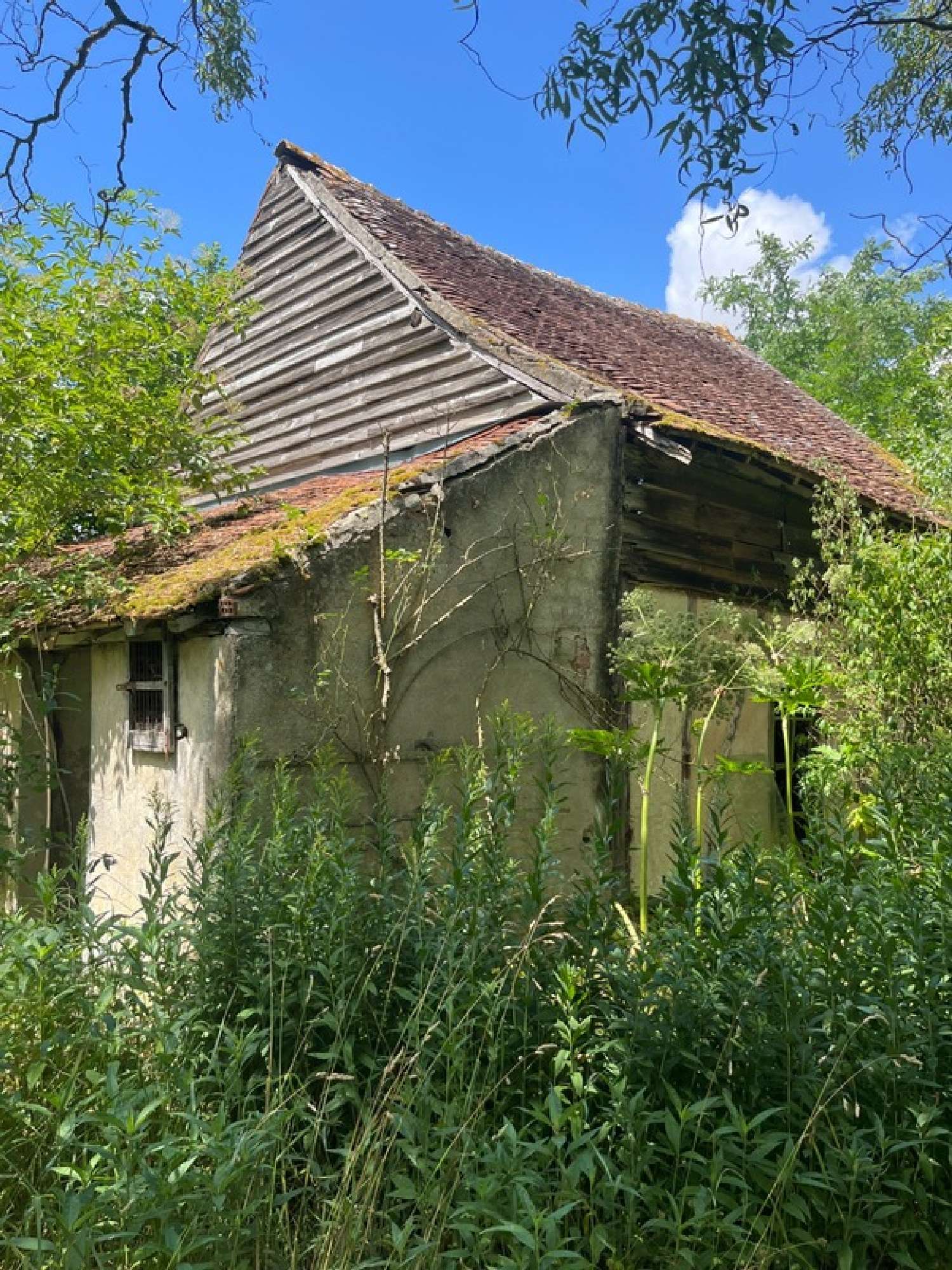  à vendre maison Ouzouer-sous-Bellegarde Loiret 3