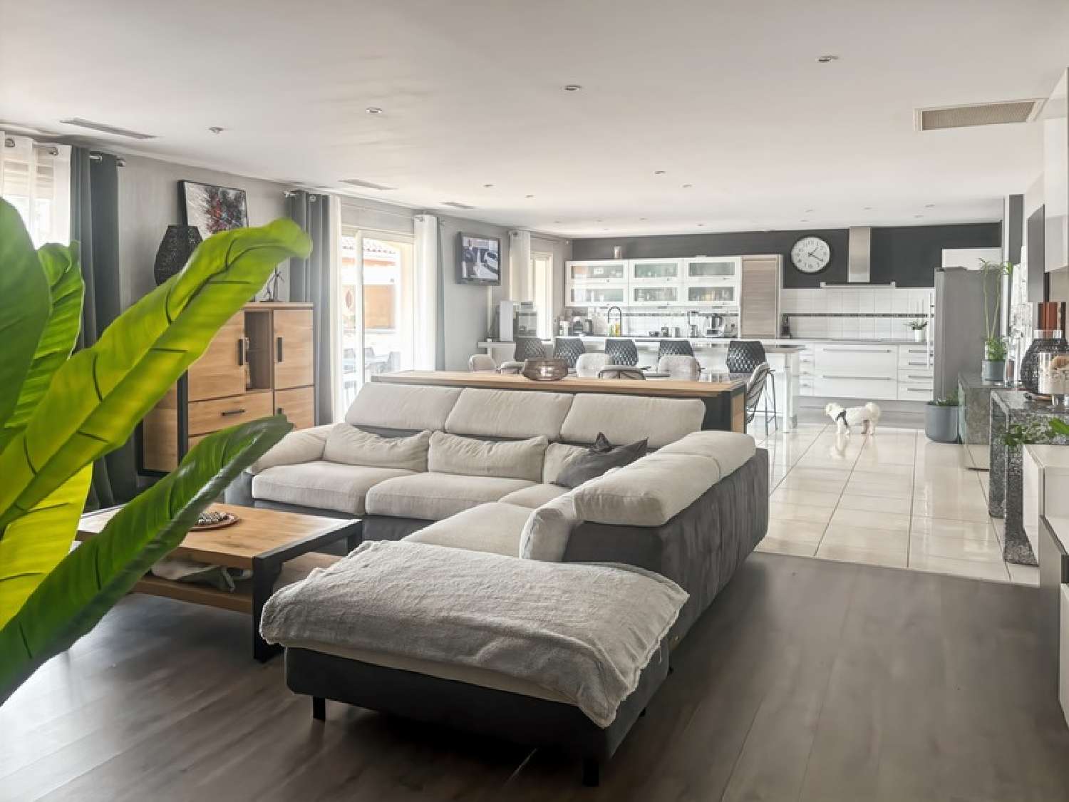  te koop huis Palleville Tarn 3