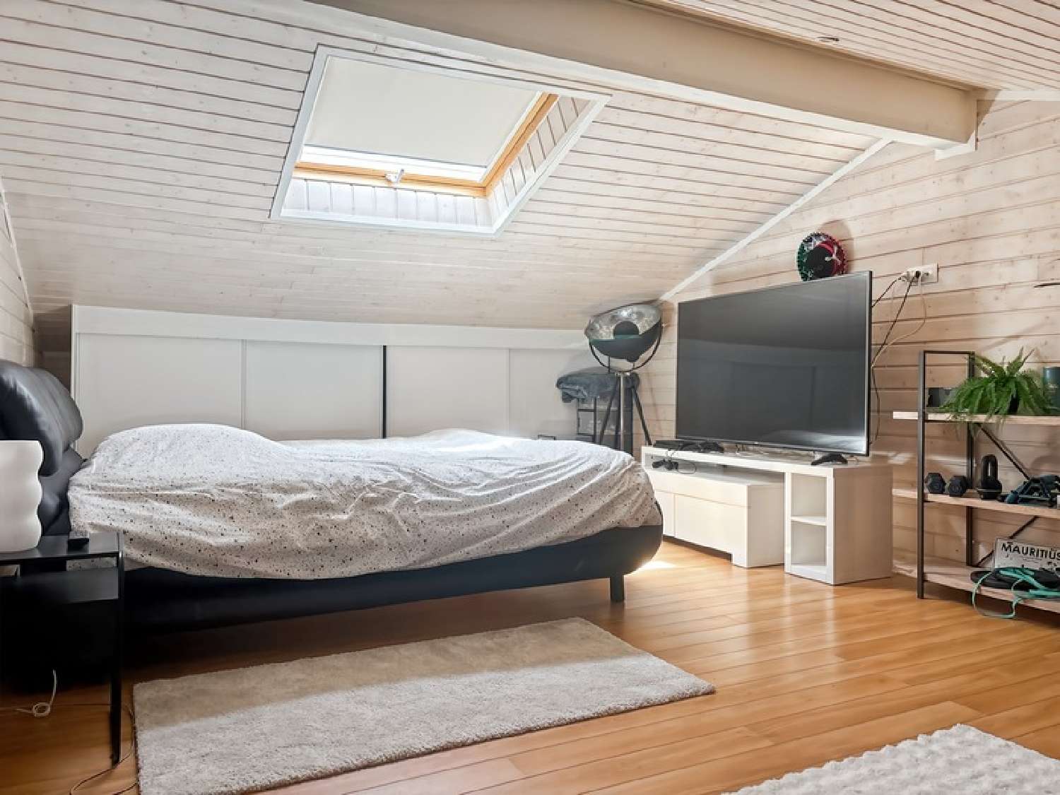  te koop huis Palleville Tarn 6