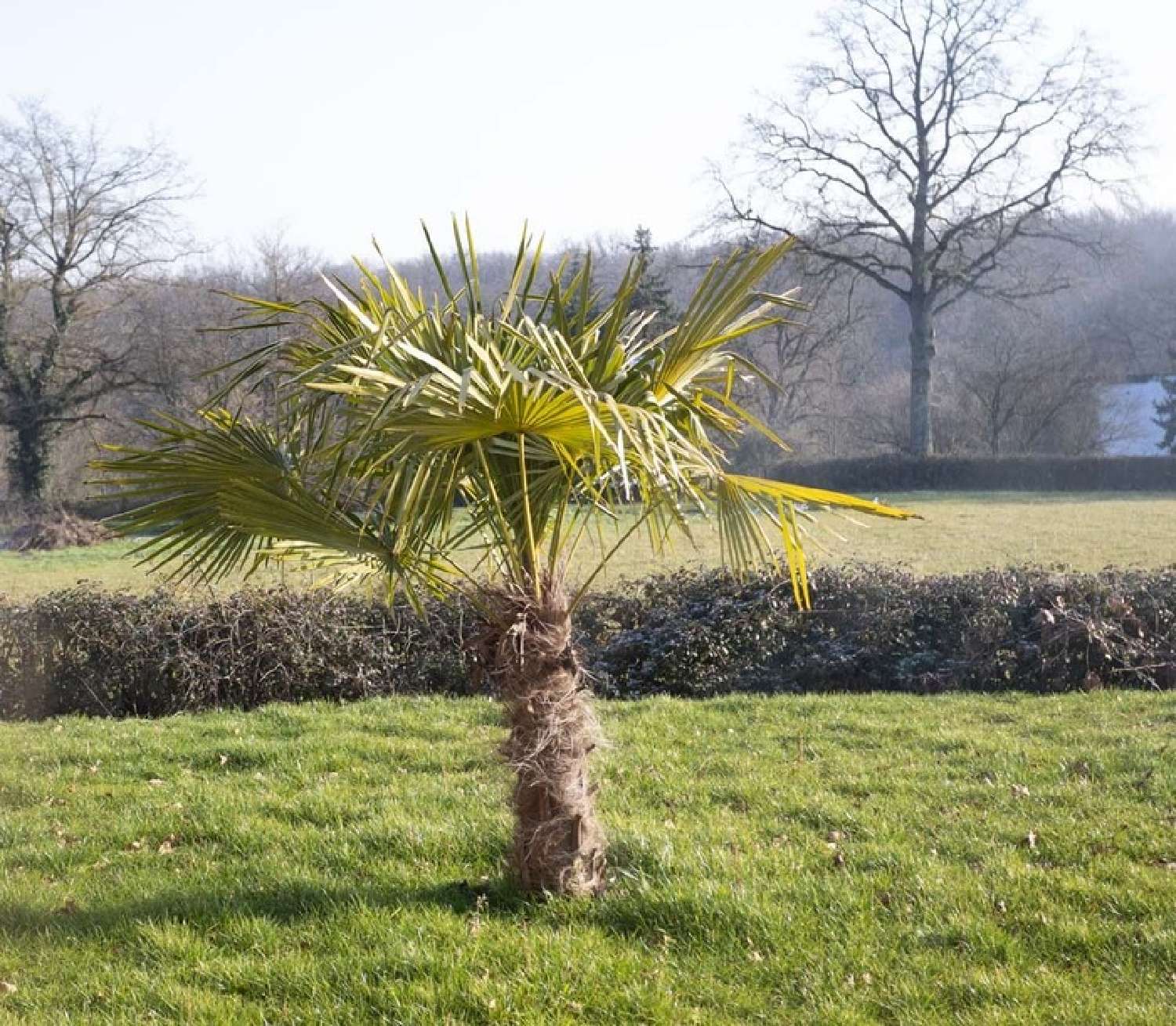  en venta casa Paray-le-Monial Saône-et-Loire 4