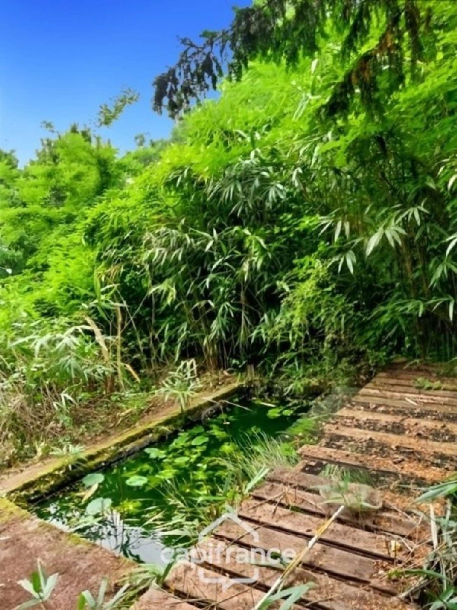 te koop huis Parigny-les-Vaux Nièvre 5