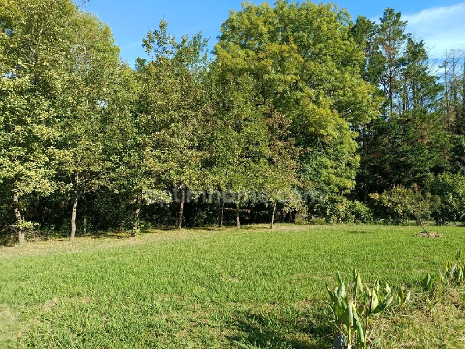  kaufen Haus Perchède Gers 3
