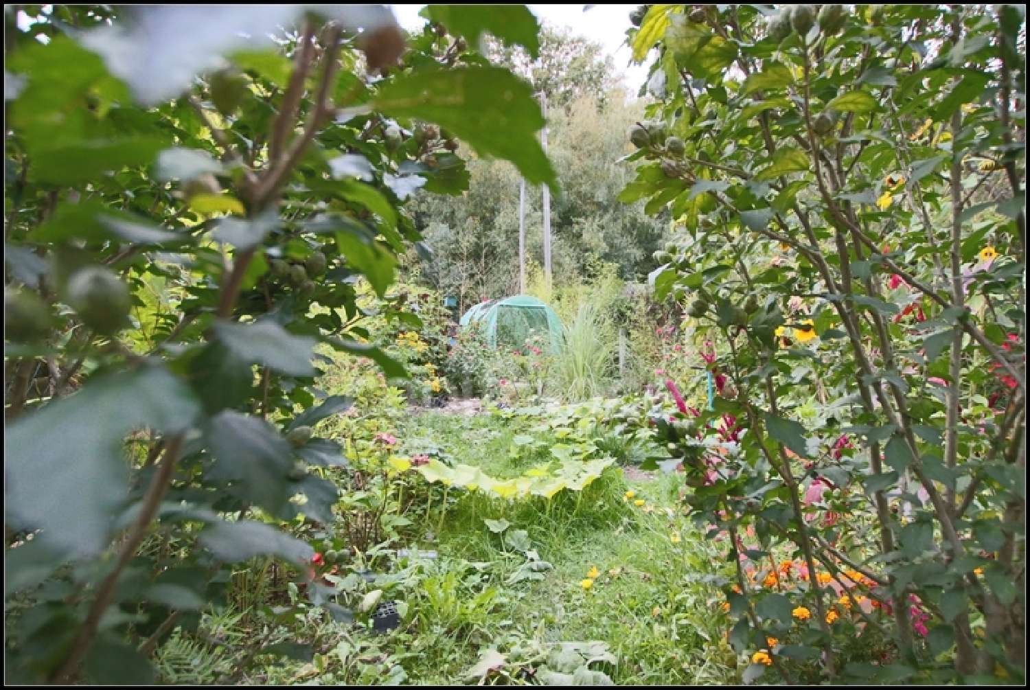  à vendre maison Perriers-sur-Andelle Eure 5