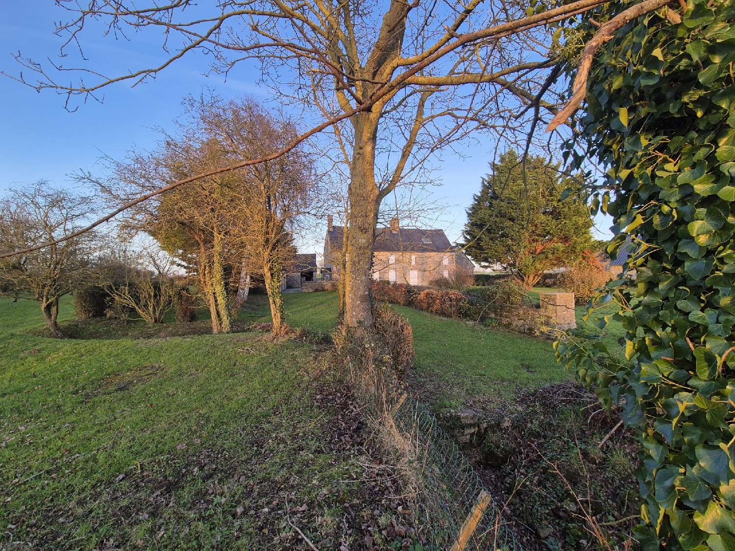  for sale house Picauville Manche 2