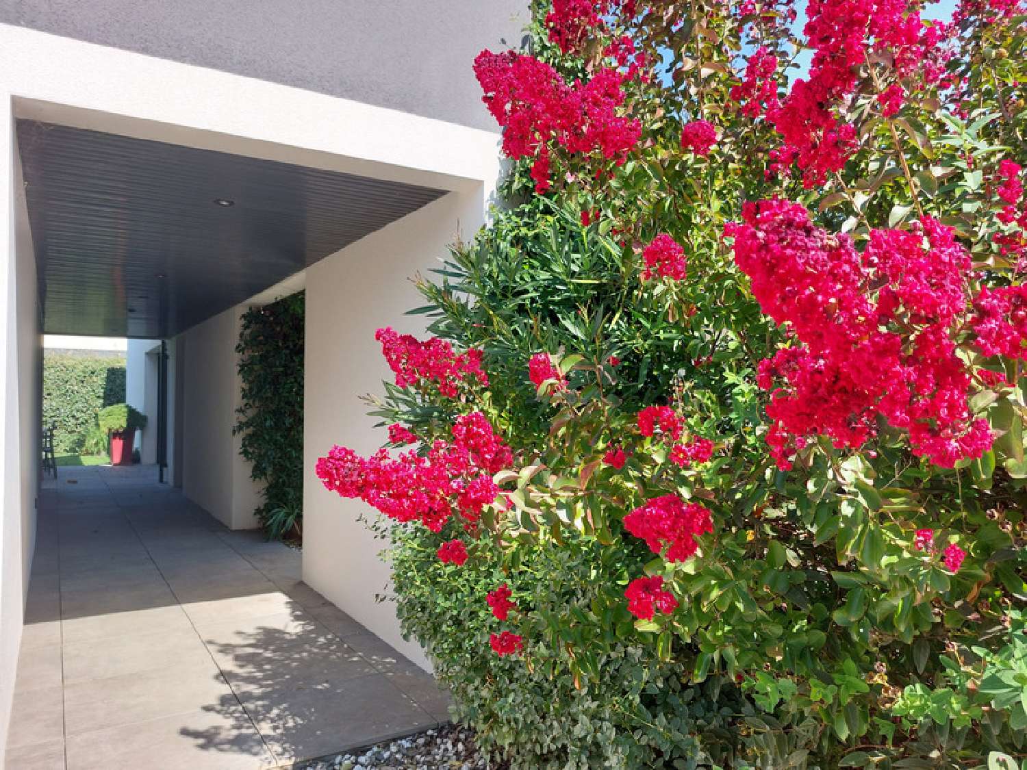 à vendre maison Plaisance-du-Touch Haute-Garonne 2