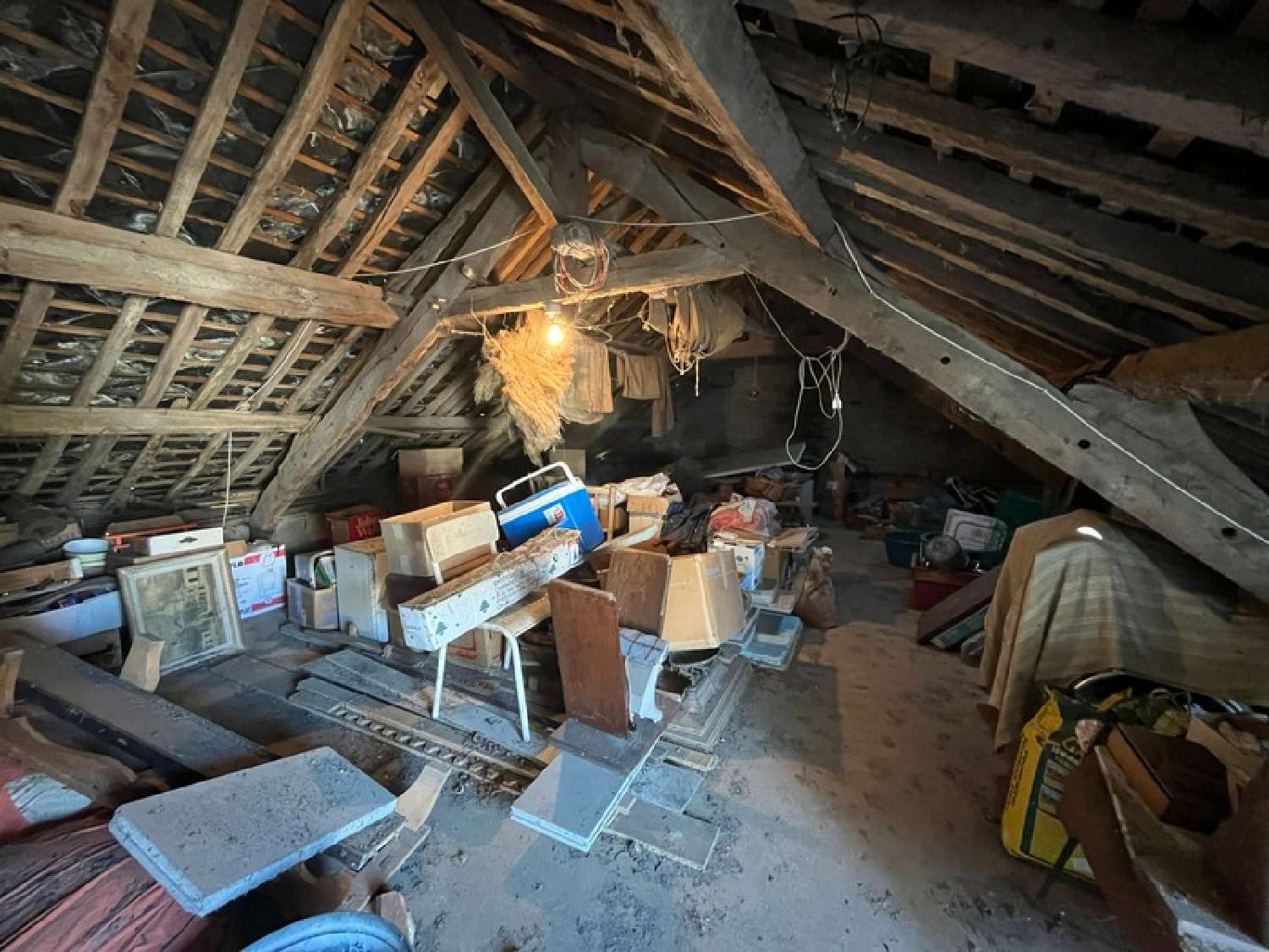  kaufen Haus Plessé Loire-Atlantique 6