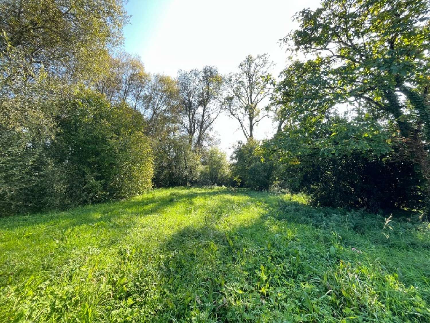  kaufen Haus Plessé Loire-Atlantique 7