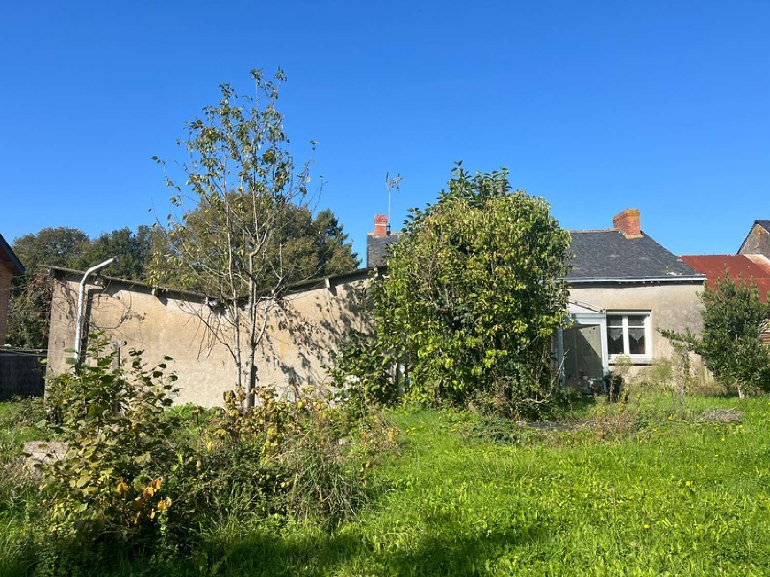  kaufen Haus Plessé Loire-Atlantique 8