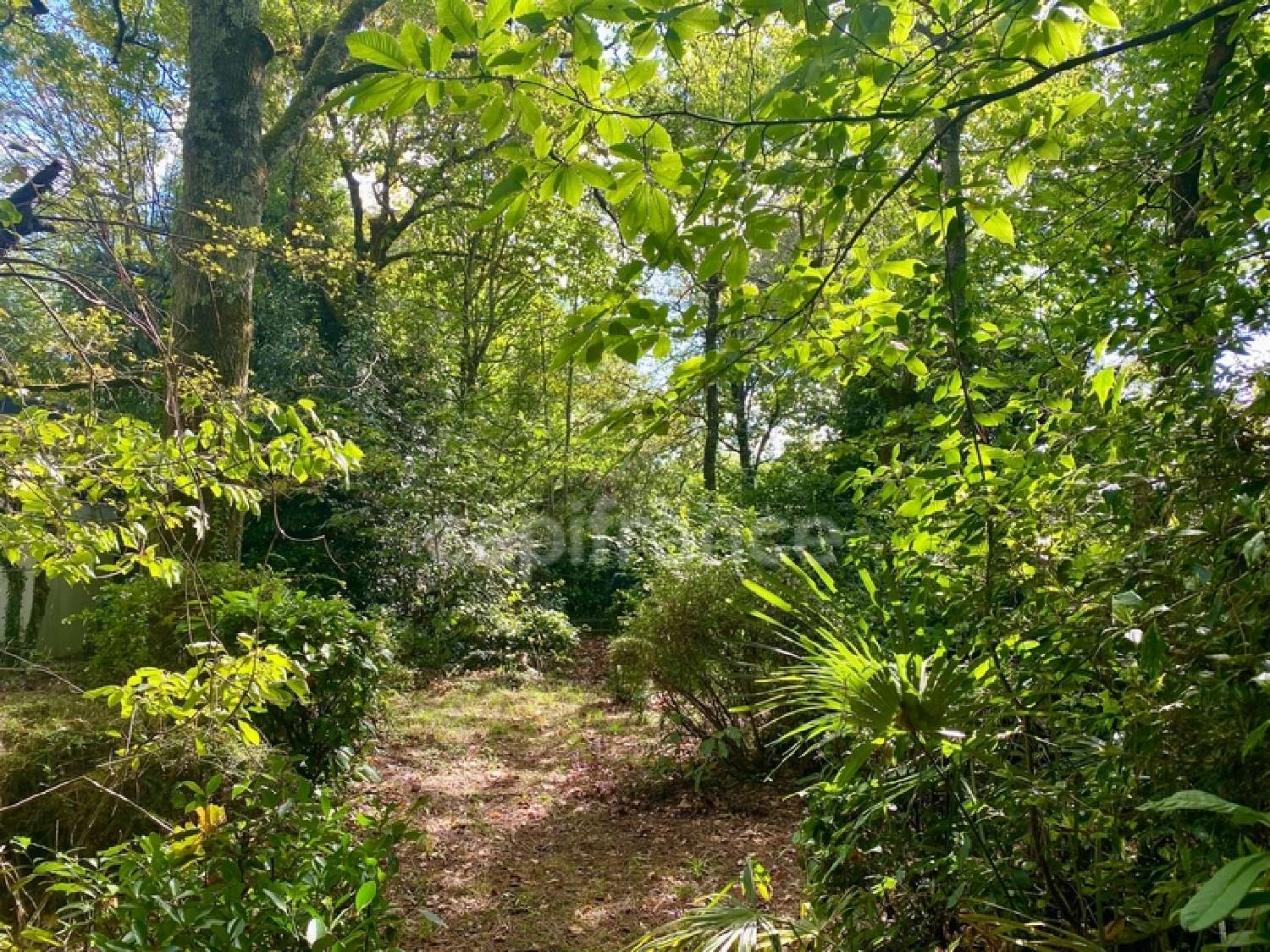  à vendre maison Ploeren Morbihan 5