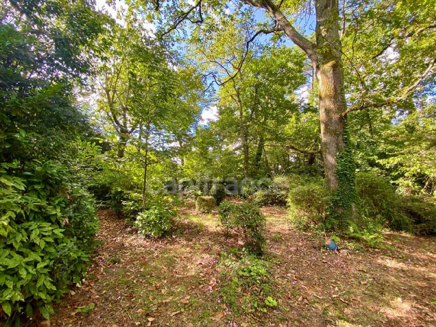  à vendre maison Ploeren Morbihan 6