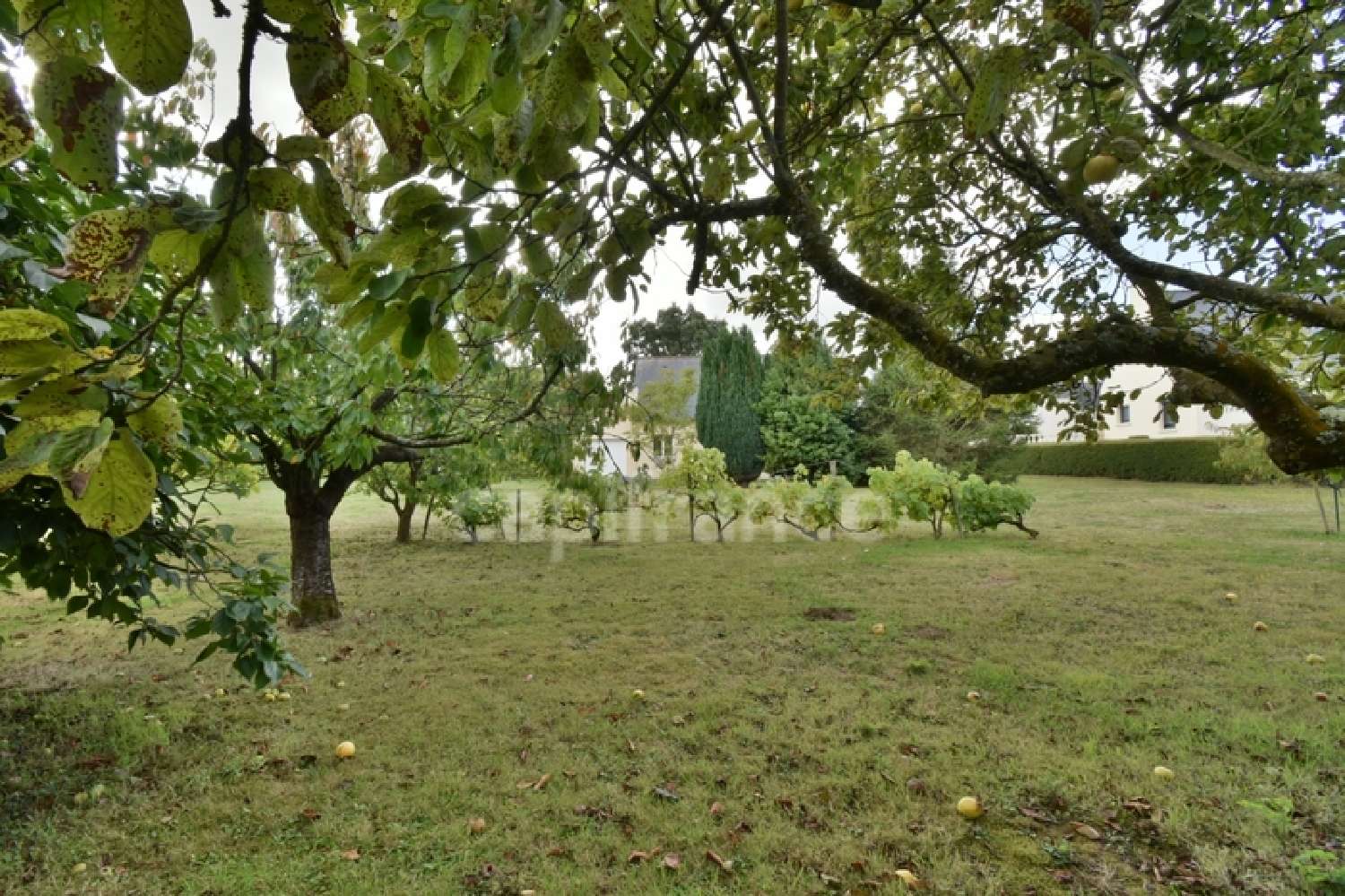 te koop huis Ploëzal Côtes-d'Armor 5