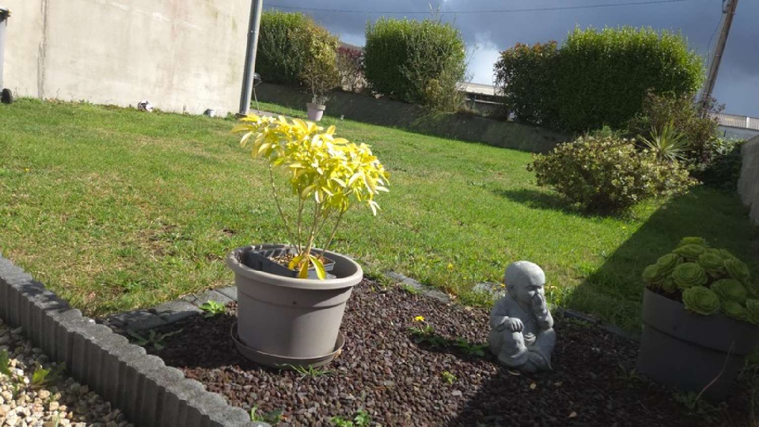  te koop huis Plouénan Finistère 2