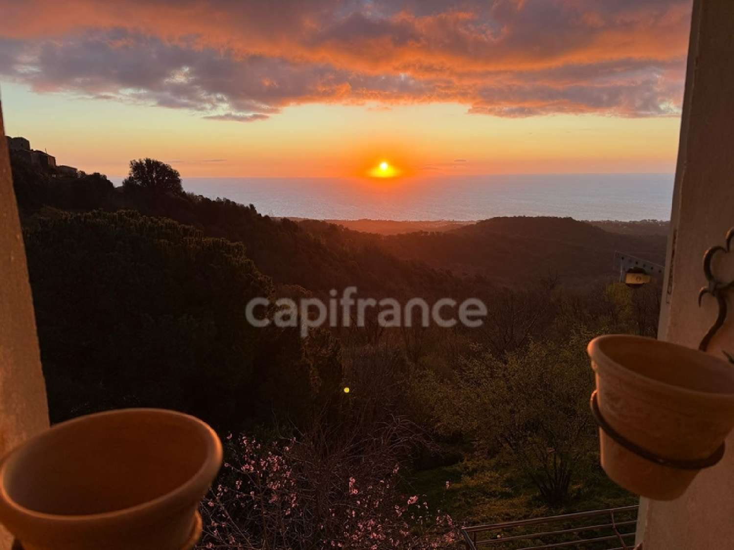 à vendre maison Poggio-Mezzana Haute-Corse 7